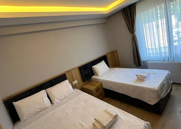 Dolphin Cafe Istambul